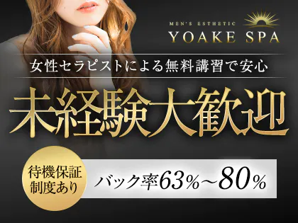メンズエステ 資料 はめ込める 講習 テキスト4冊×SDカード2枚(動画)